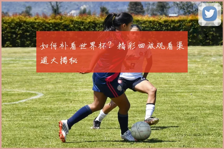 如何补看世界杯?精彩回放观看渠道大揭秘