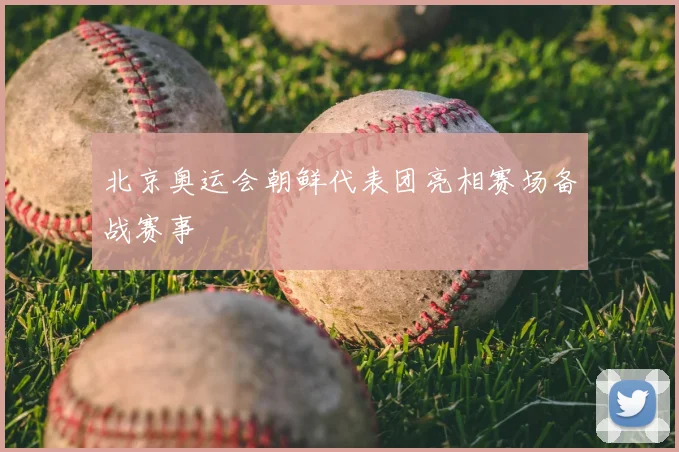北京奥运会朝鲜代表团亮相赛场备战赛事