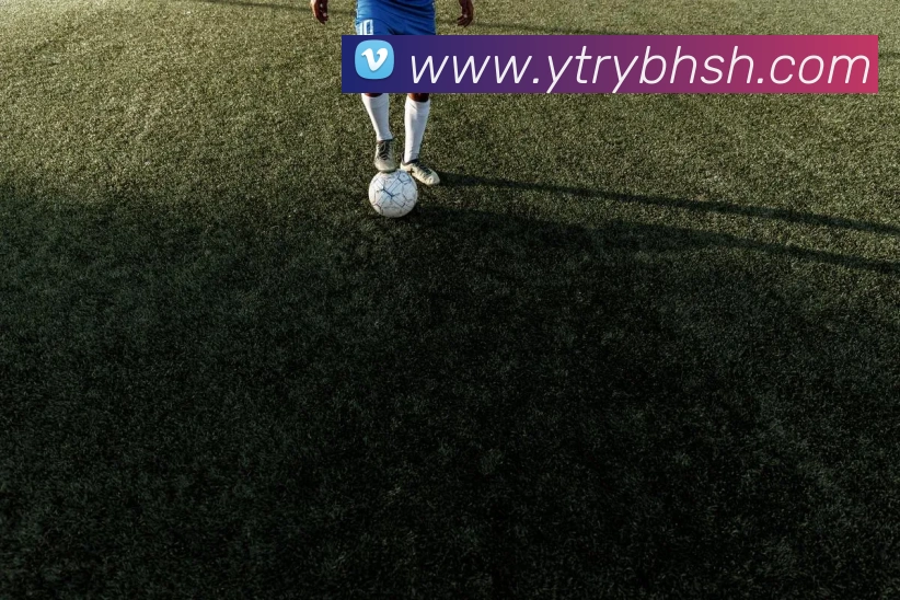 投注app官网APP 封面图